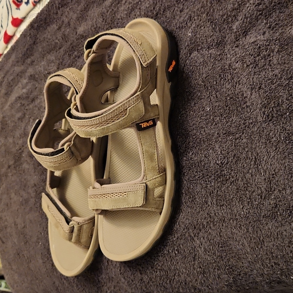 Mens Hudson style teva